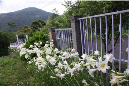 北市內雙溪自然中心照片4