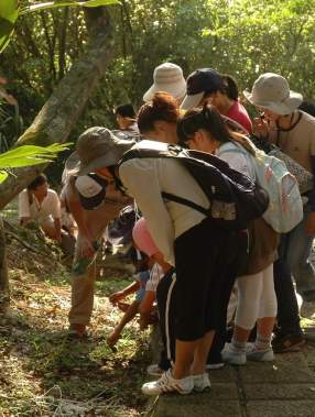 圖1、森林是許多生物的家，你找到了嗎？