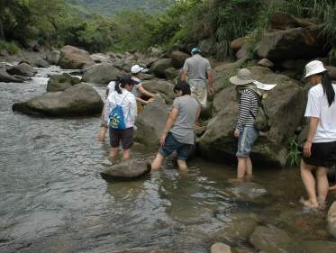 圖2、森林涵養了水源，匯集成乾淨的溪流，也提供教育學習的場域。