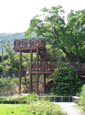 圖7、觀景樹屋。