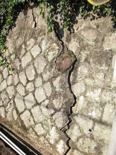 圖四、環境異常徵兆：擋土牆面裂縫、鋼筋外露銹蝕