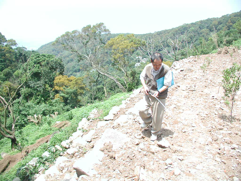 查報員執勤情形