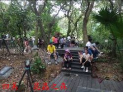 四美 昆蟲之森