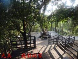 九美 飛羽的家