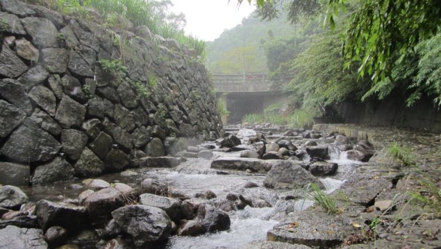 菁礐溪整治有成「溯溪」親水新秘境_照片5