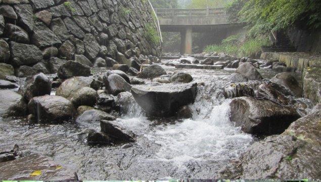 菁礐溪整治有成「溯溪」親水新秘境_照片6