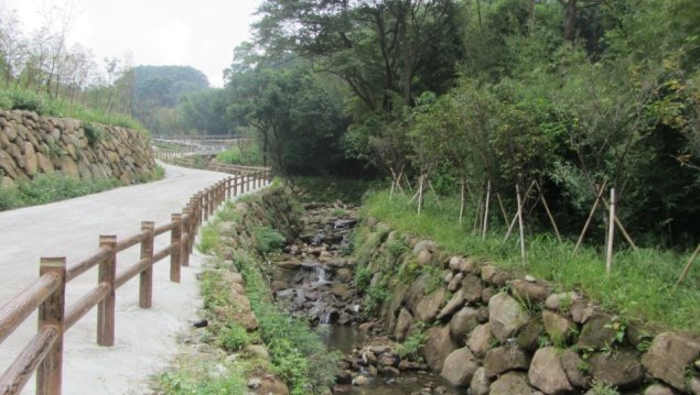 菁礐溪整治有成「溯溪」親水新秘境_照片8