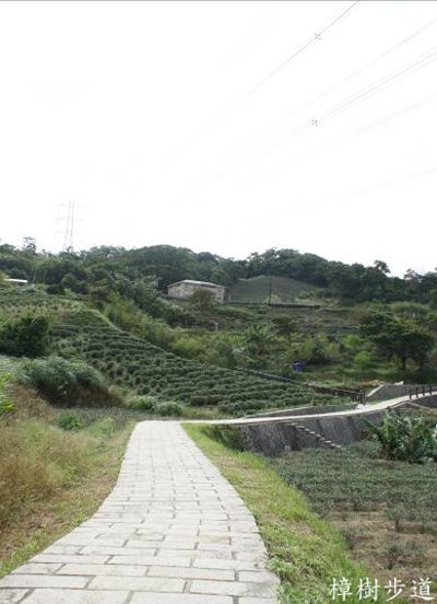樟樹步道