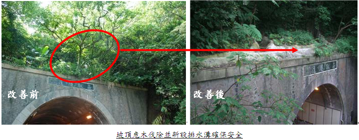 坡頂危木伐除並新設排水溝確保安全