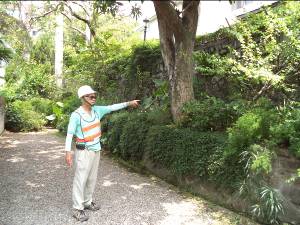 北市首創人工邊坡定期巡勘  為民眾安全把關