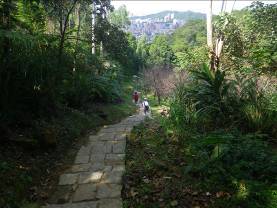 飛龍步道(七)