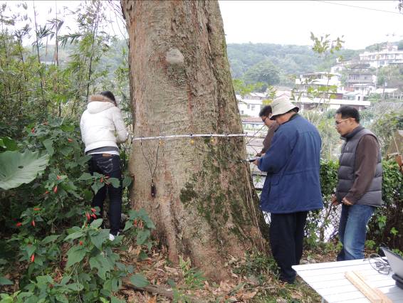 行政院農業委員會林業試驗所進行檢測
