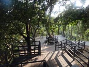 「Y」圓山風景區