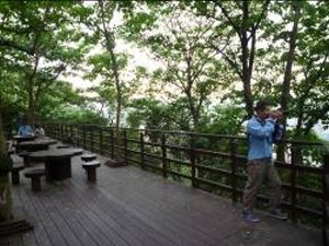 二景 何仙姑-桐花林「女」