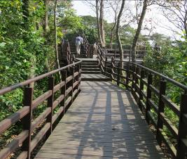 附圖7、仙跡岩寬闊木棧道