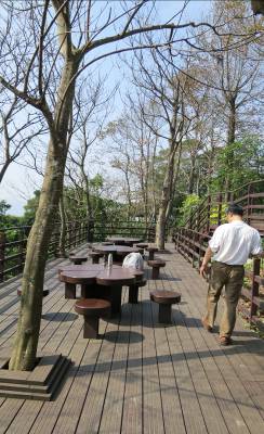 附圖8、仙跡岩桐花林平台