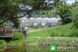 內雙溪自然中心一隅