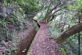 坪頂古圳