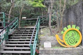 親山環狀路網
