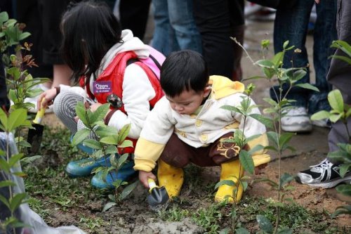 歷年植樹贈苗活動