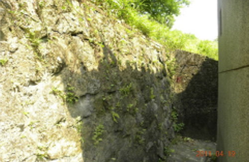 北市人工邊坡管理受國際肯定 日本專家將來取經07