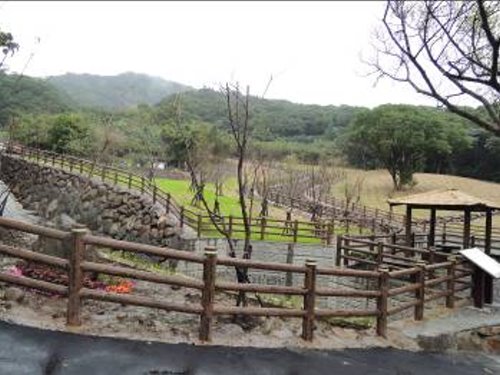 北投仙窟溪整治有成 仙谷秘境再現