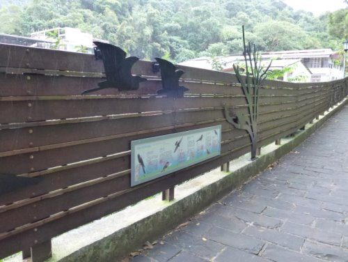 101年度「內湖區碧湖步道及周邊步道改善工程」