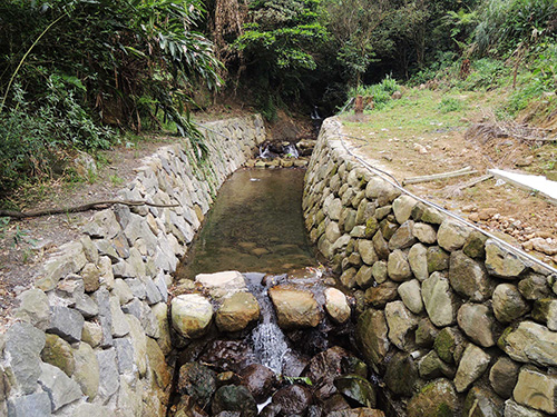 南港大坑溪整治復育有成 魚蝦毛蟹現身!