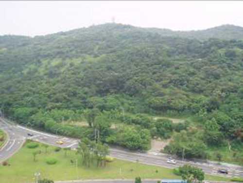 雨季將到 北市24坡地聚落防災啟動  防災地圖逐戶發送說明