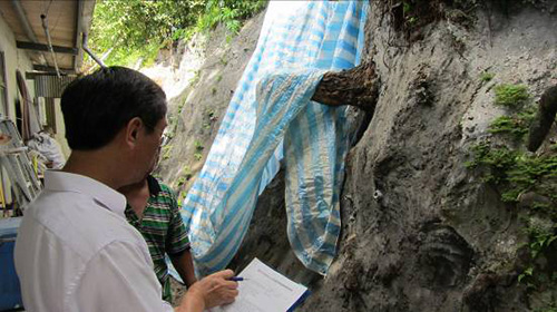 北市人工邊坡總體檢  全台首創