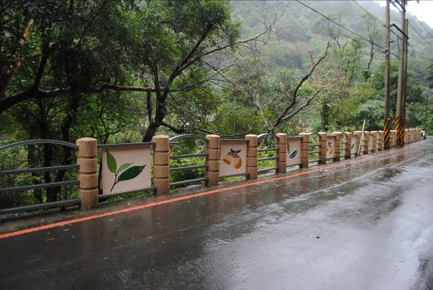 文山指南產業道路一心二葉護欄