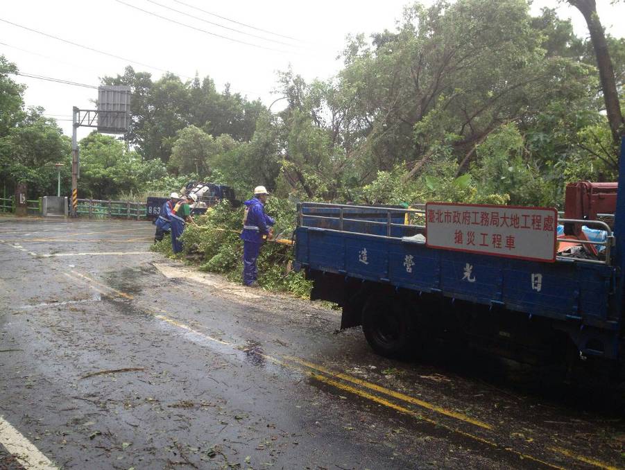 北投泉源路路樹清除