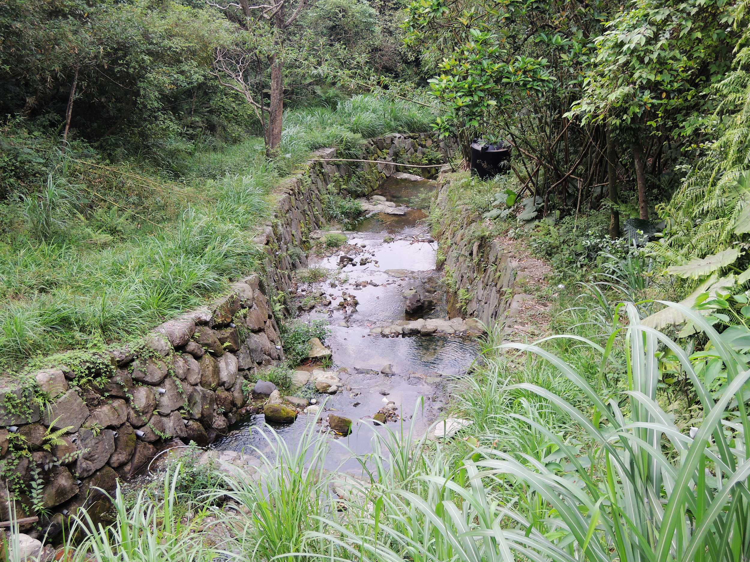 整治後兩岸綠意生機