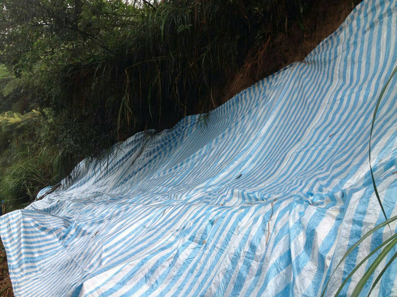 竹子湖路63號坡地裸露邊帆布覆蓋