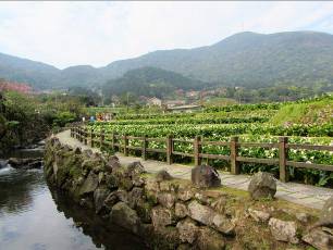 北投竹子湖社區