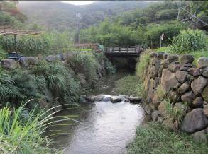 四分溪整治有成，親水觀魚好去處！