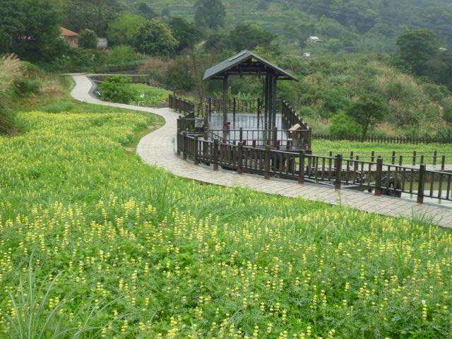 文山區樟樹樟湖環狀步道-彩雲亭