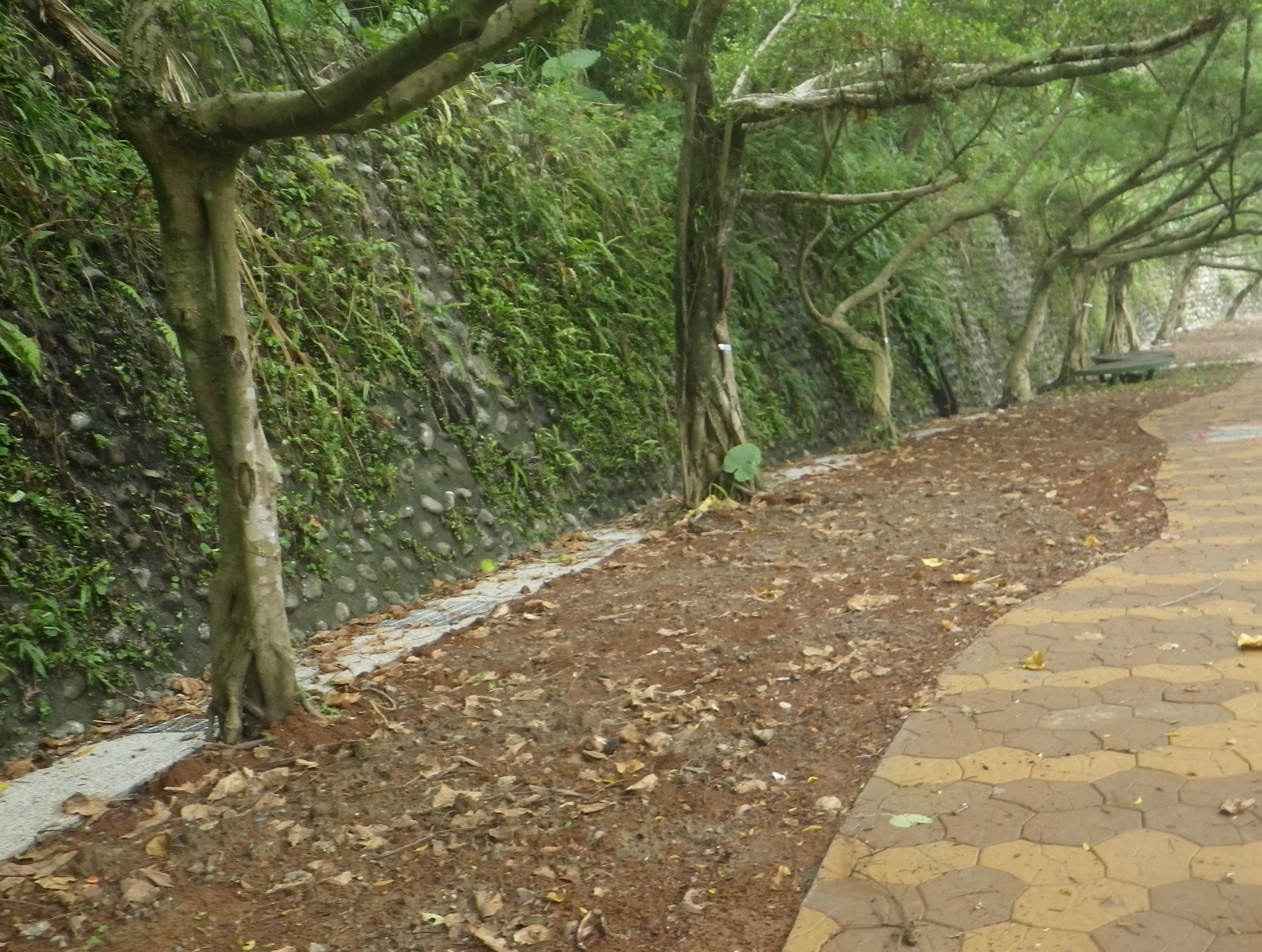 中埔山步道
