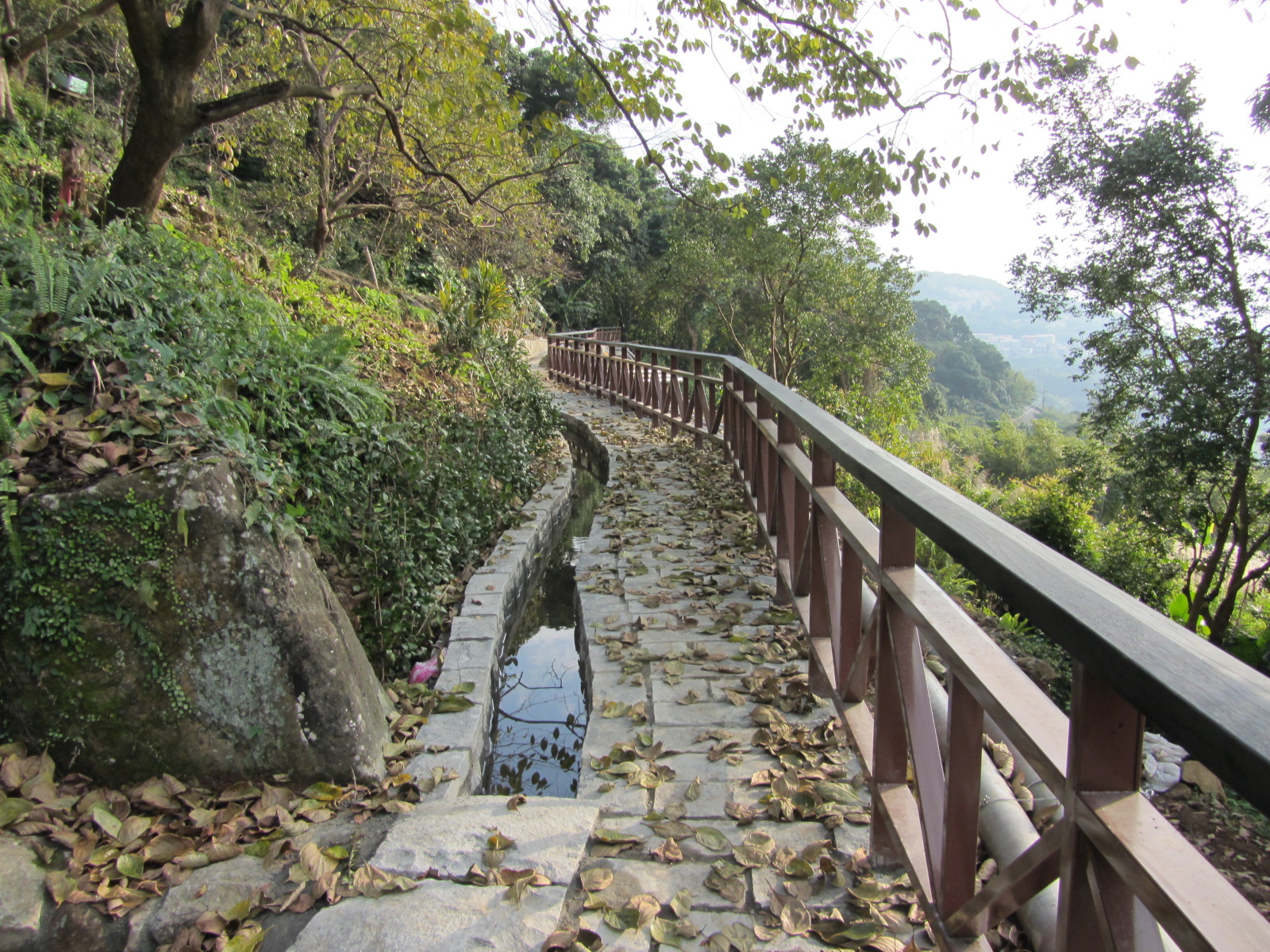 夕陽餘暉下的步道與水圳