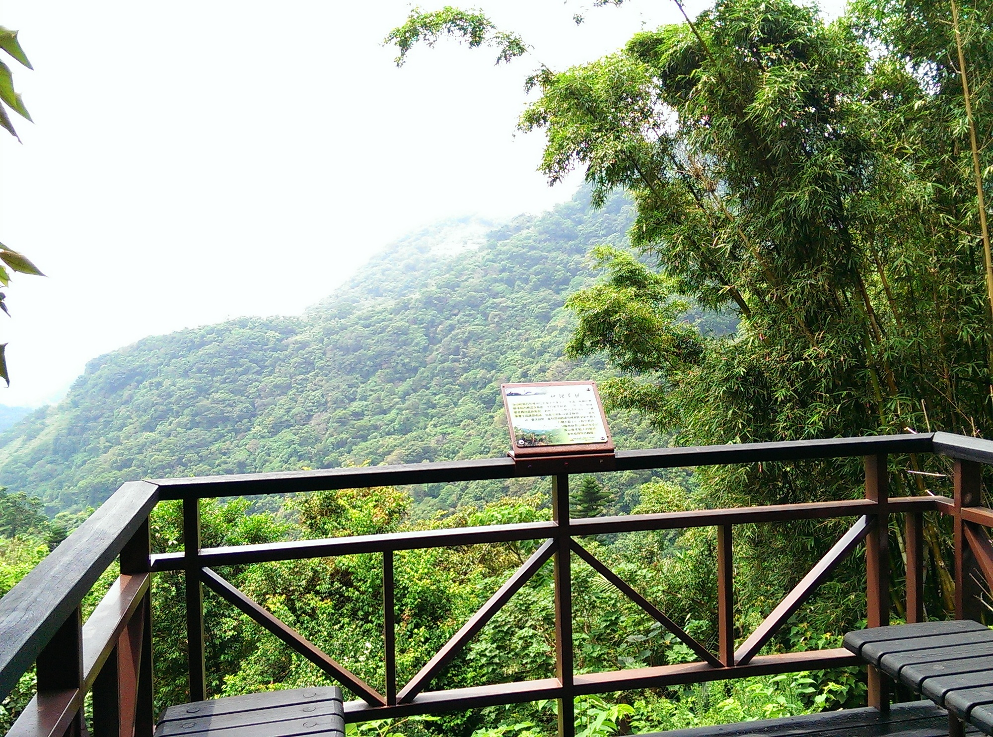 觀景平台與遠眺景致