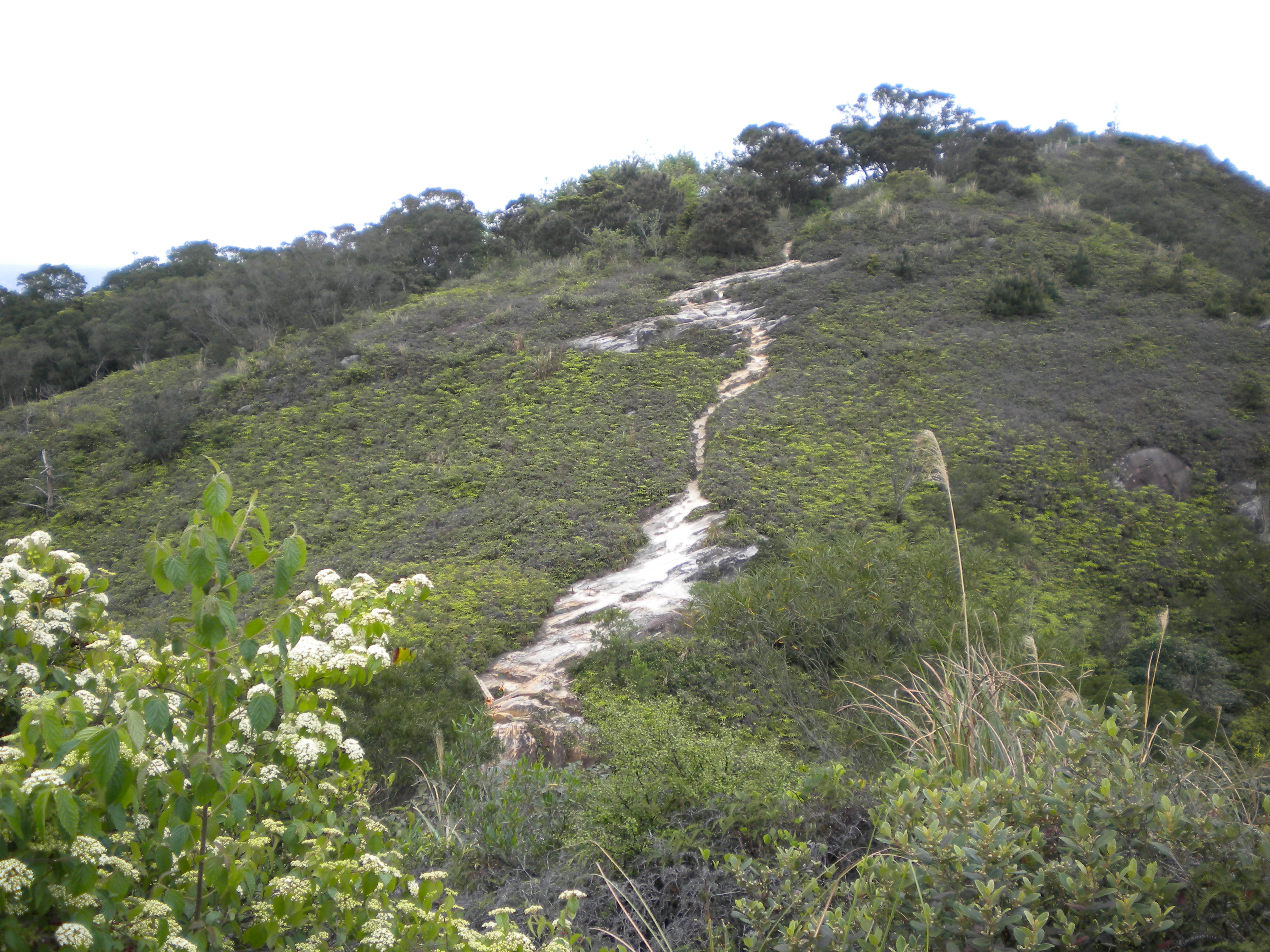 遠眺大屯山系