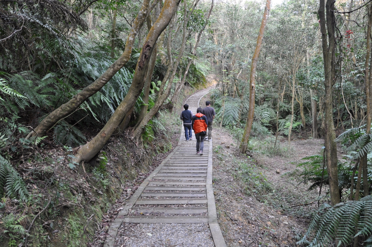 士林區碧溪步道