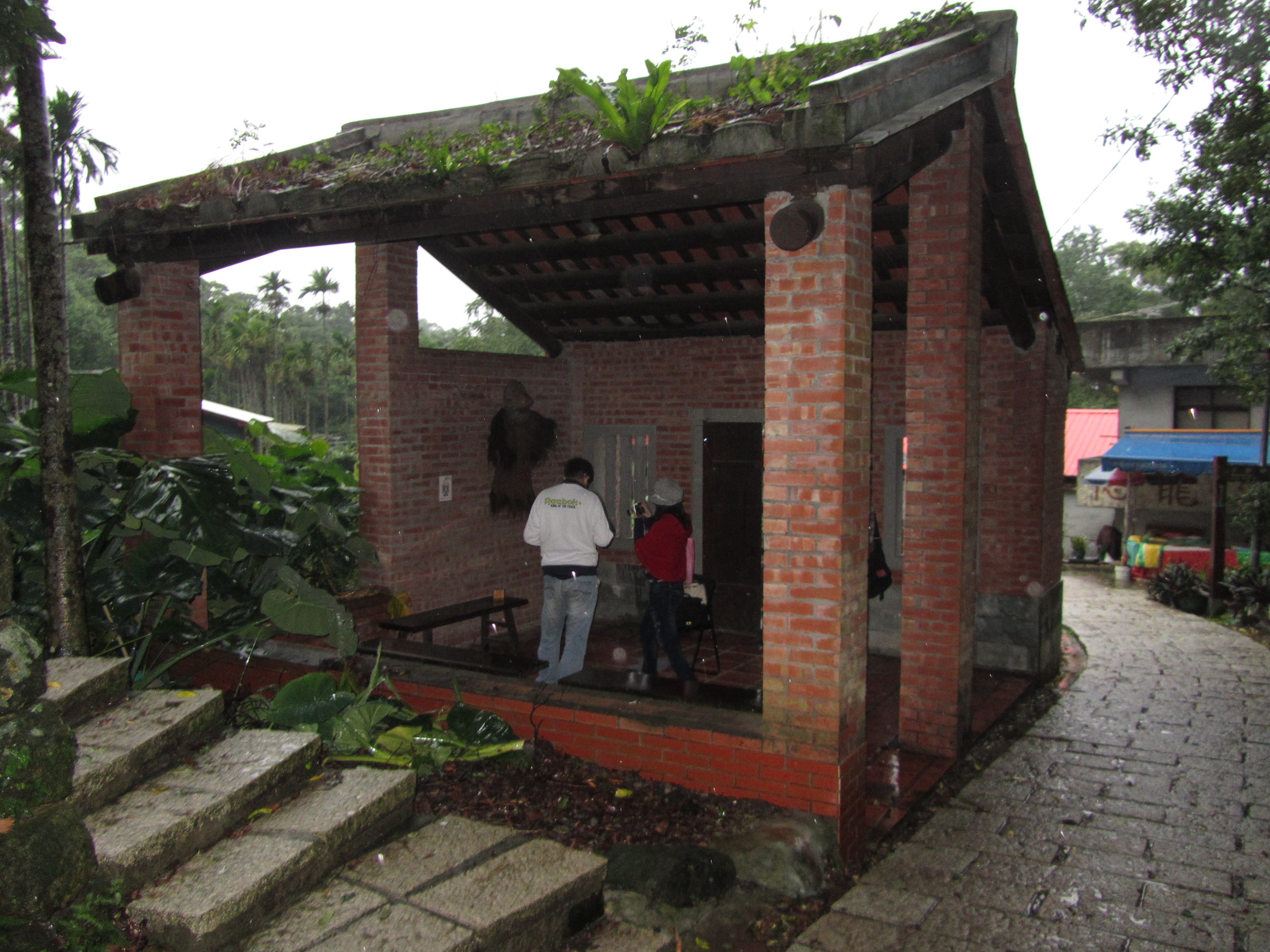 樟樹步道老樟厝