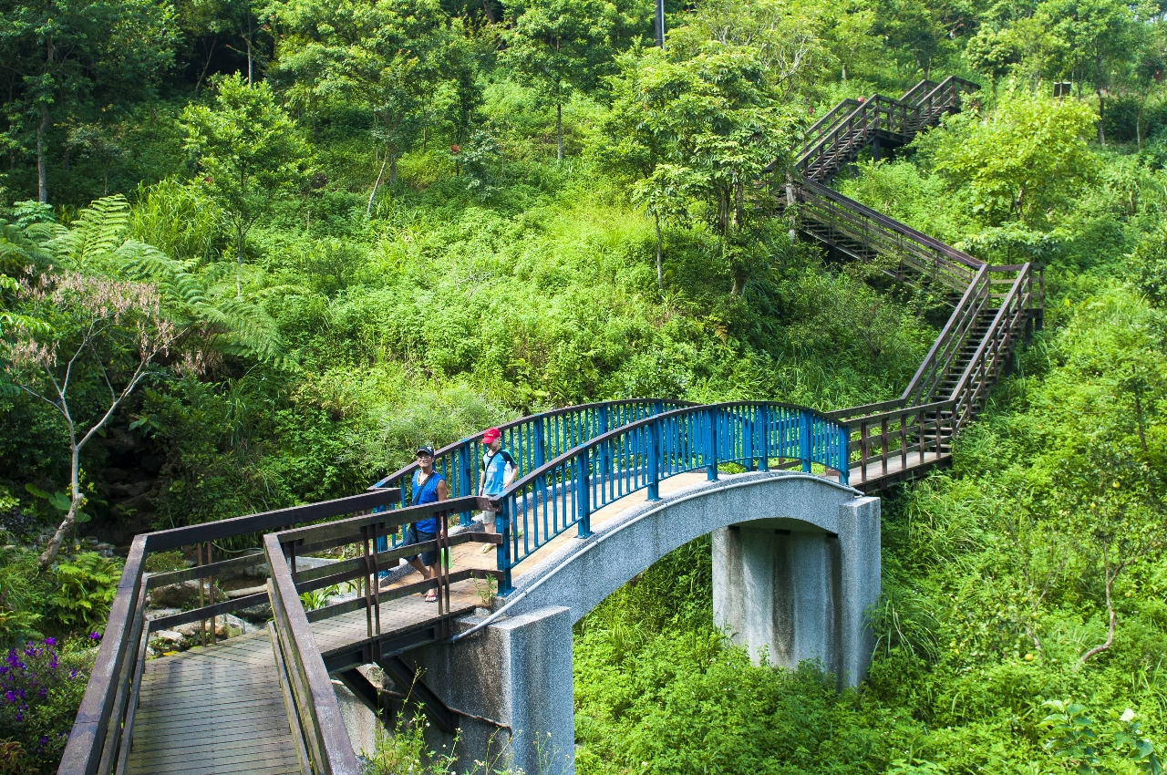 虎山生態步道之美(虎山生態步道)－李泰良