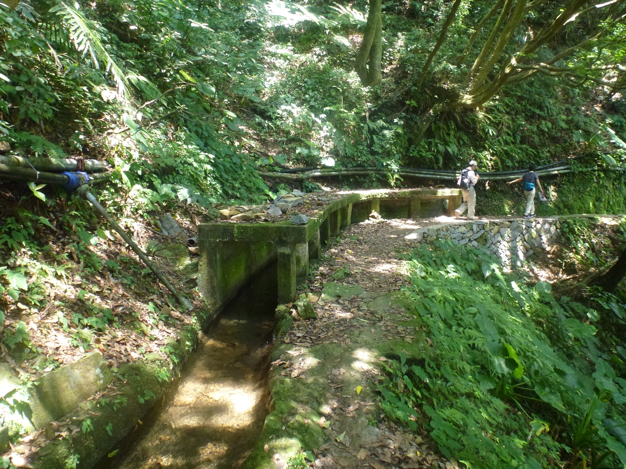 篳路藍縷(坪頂古圳步道)－婁序平