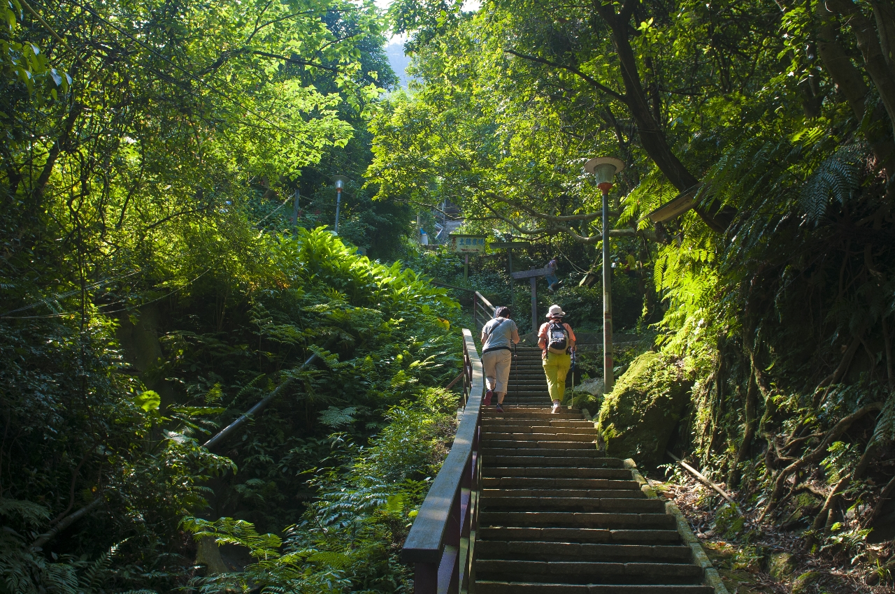 虎山溪步道之美(虎山溪步道)-李泰良