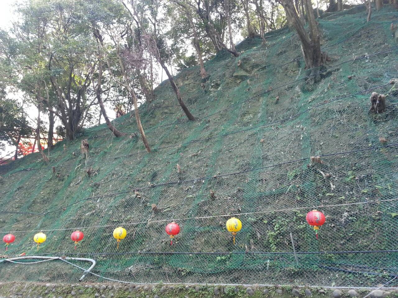 山豬窟產業道路邊坡