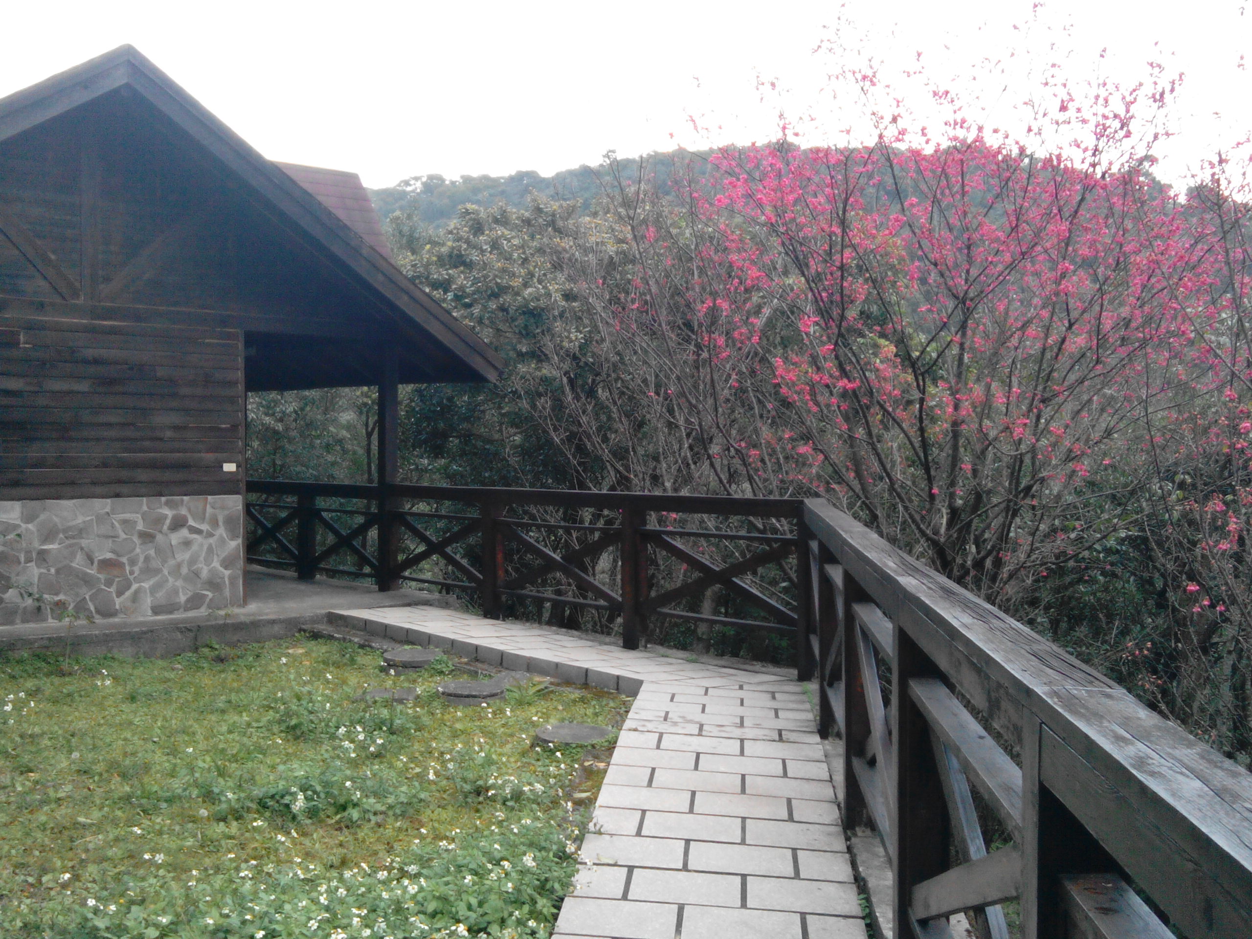 碧山露營場步道