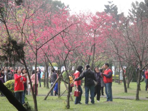 大溝溪溪畔步道