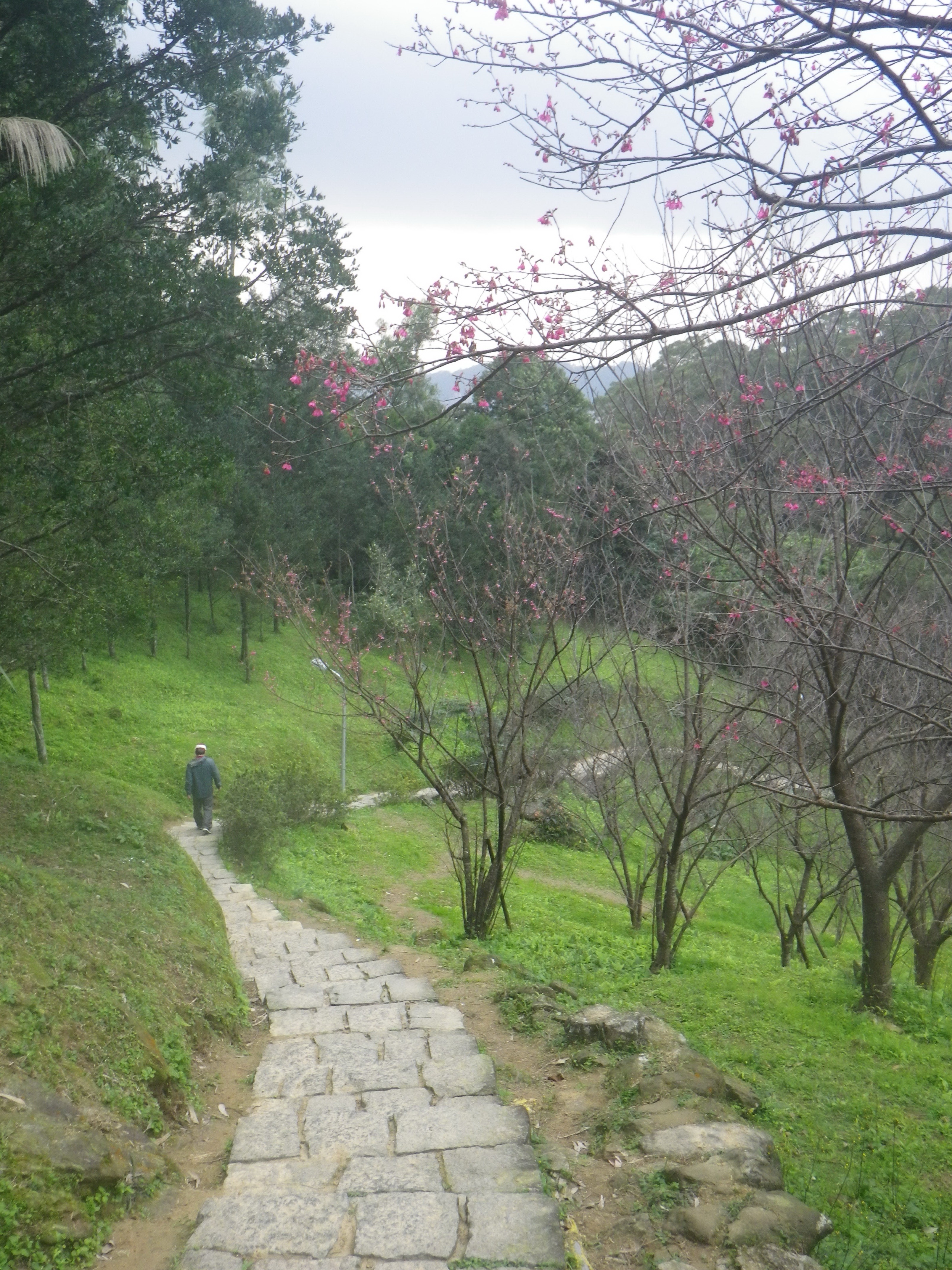 飛龍步道